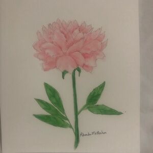 Pale Pink Peony Watercolor Painting